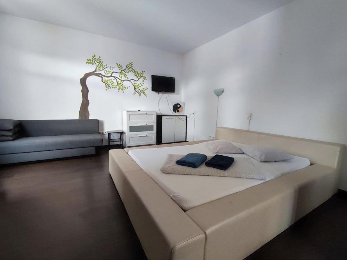 Limon Studios Braşov Exteriör bild